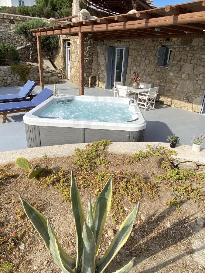 Pelagos Of Mykonos Appartement *